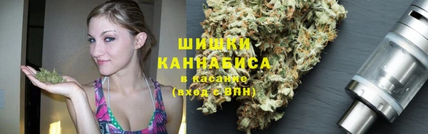 spice Аркадак