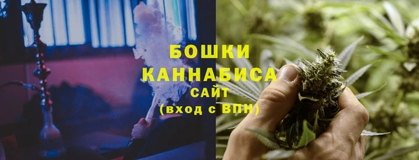 spice Аркадак