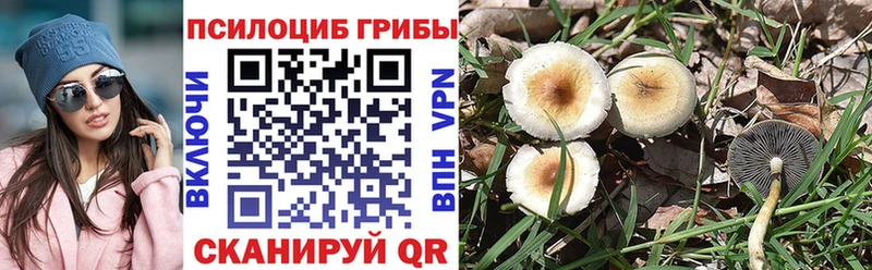 Галлюциногенные грибы GOLDEN TEACHER  где купить наркоту  Новая Ладога 