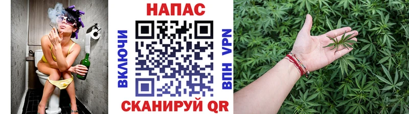 купить наркотик  Новая Ладога  Бошки Шишки тримм 